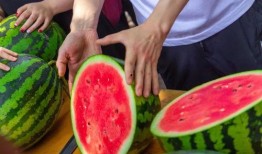 吃瓜全免费,揭秘娱乐圈幕后真相