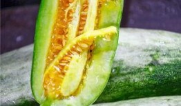 临沂吃瓜网红是谁,揭秘网络红人的崛起之路