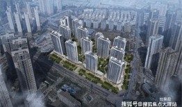 雅居乐爆料最新消息新闻,揭秘企业动态与未来发展规划